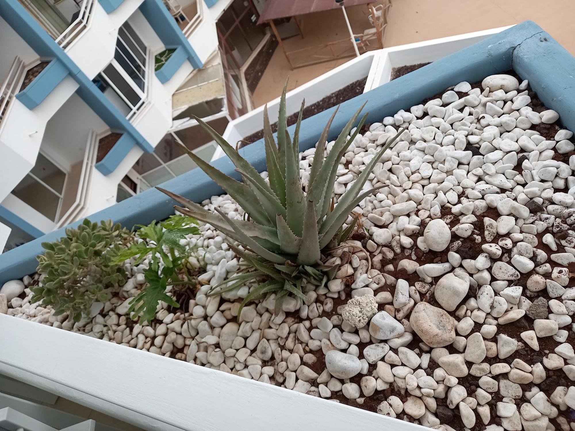 Cousy Holiday Apartment In Sunny Golf Del Sur San Miguel de Abona Extérieur photo